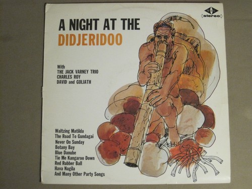 Night at the didjeridoo - night,